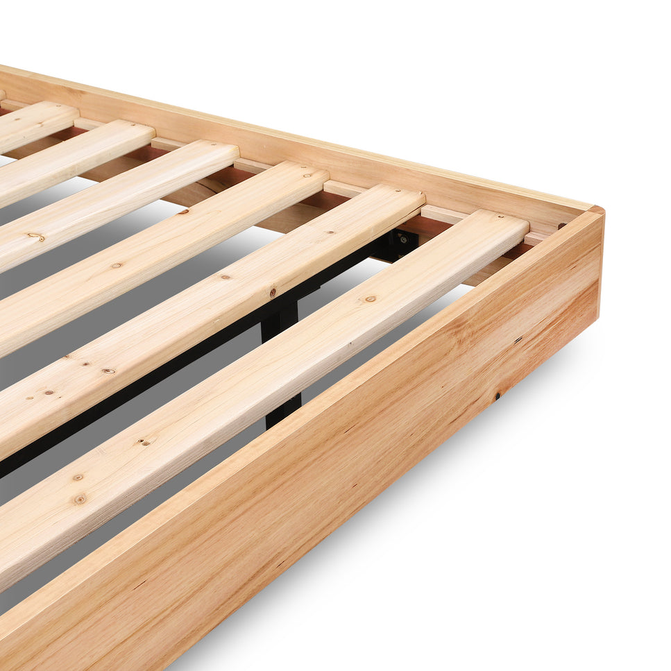 Jazzlyn Plus Queen Bed - with LED Lights & USB