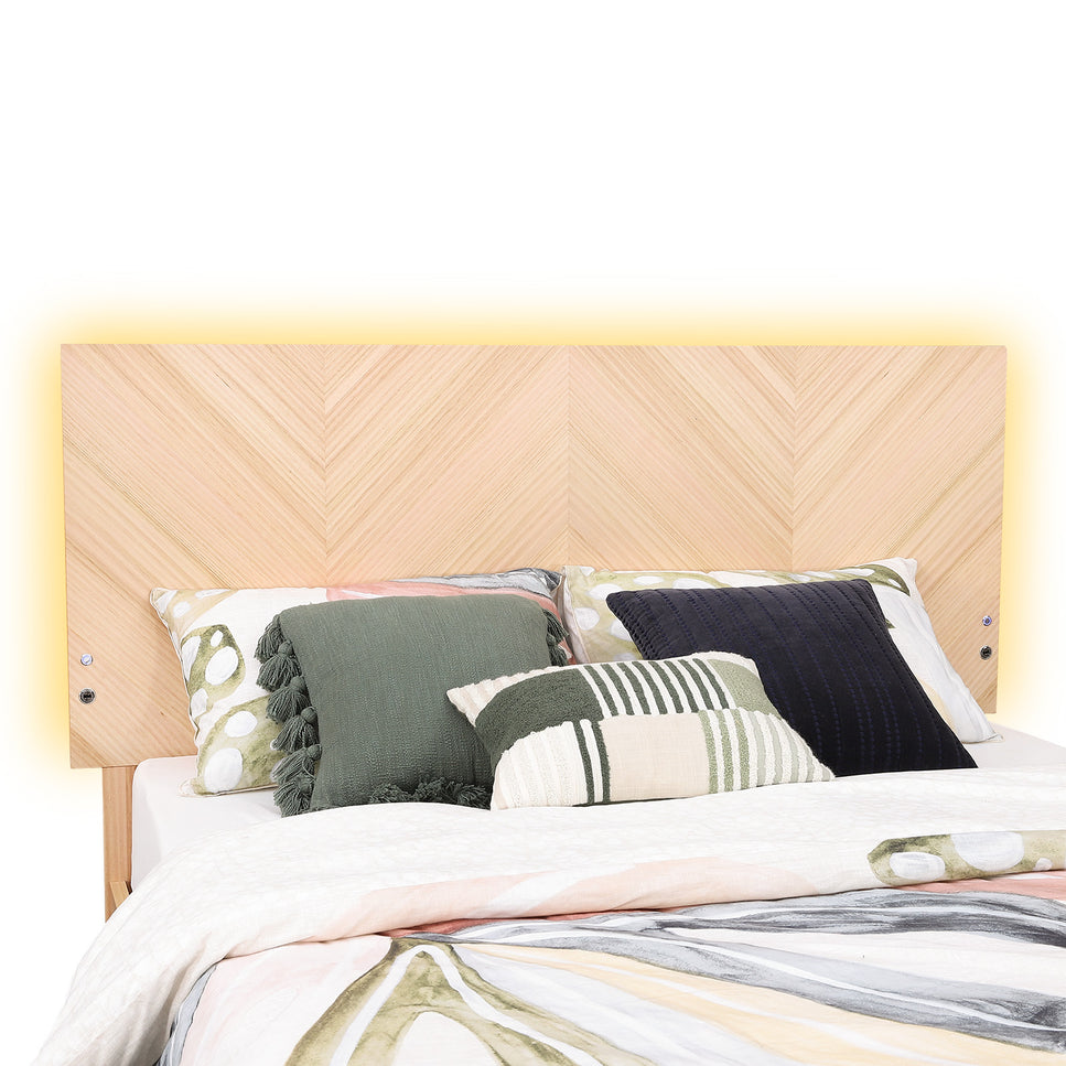 Jazzlyn Plus Queen Bed - with LED Lights & USB