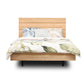 Newton King Size Bed Frame