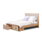 Monica Queen Bed - With Drawers