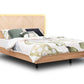 Jazzlyn Plus Queen Bed  - with LED Lights & USB