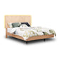 Jazzlyn Plus Queen Bed  - with LED Lights & USB