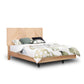 Jazzlyn Queen Bed - NO Lights/USB